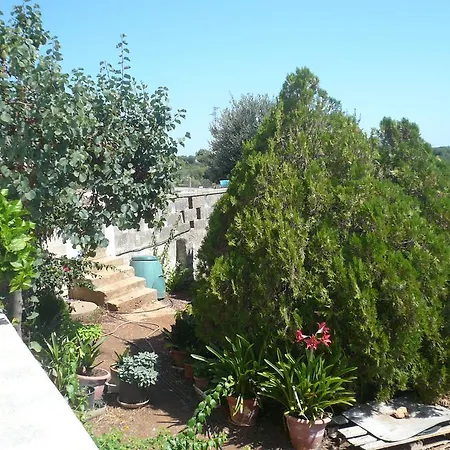 Mediterranea Tra Gli Ulivi أوستوني