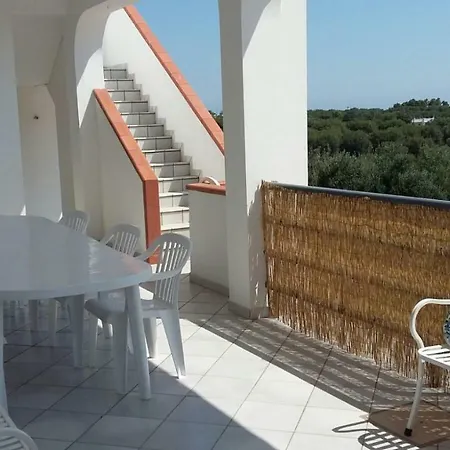 Mediterranea Tra Gli Ulivi * أوستوني