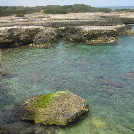 Mediterranea Tra Gli Ulivi 奥斯图尼