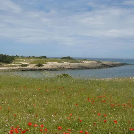 Mediterranea Tra Gli Ulivi * 奥斯图尼