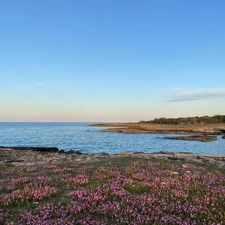 别墅 Mediterranea Tra Gli Ulivi 奥斯图尼