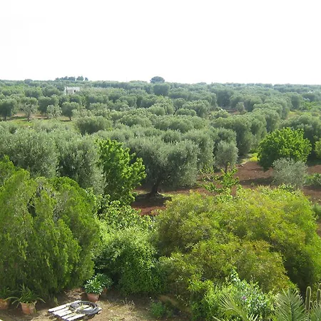 别墅 Mediterranea Tra Gli Ulivi *
